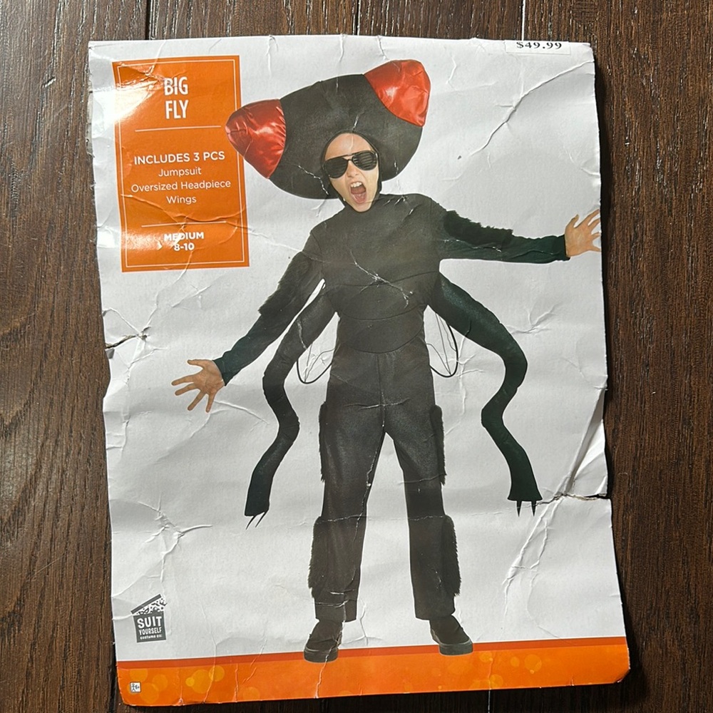 Big Fly Costume- missing hat!